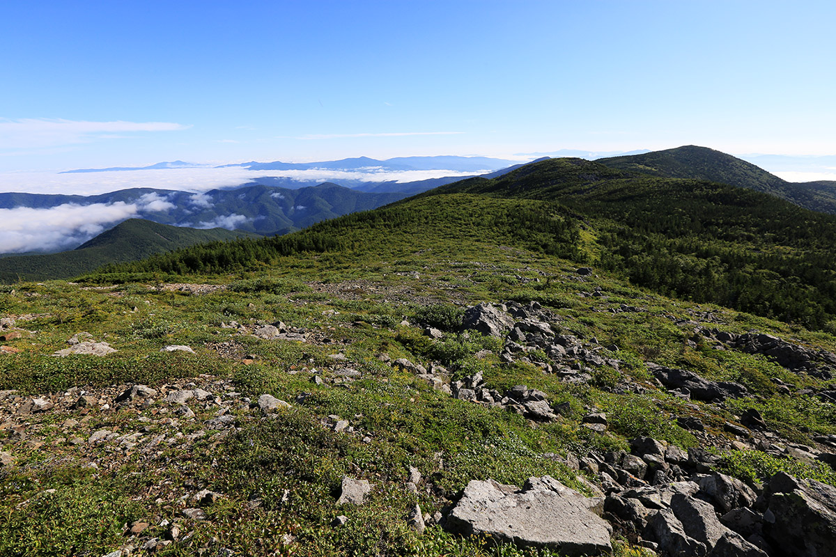 Гора Ольховая, image of landscape/habitat.