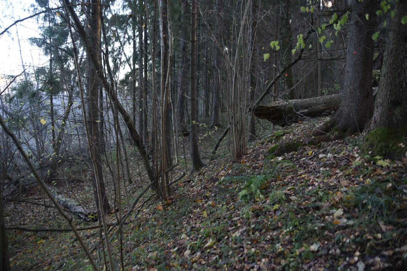 Окрестности деревни Семичёво, image of landscape/habitat.