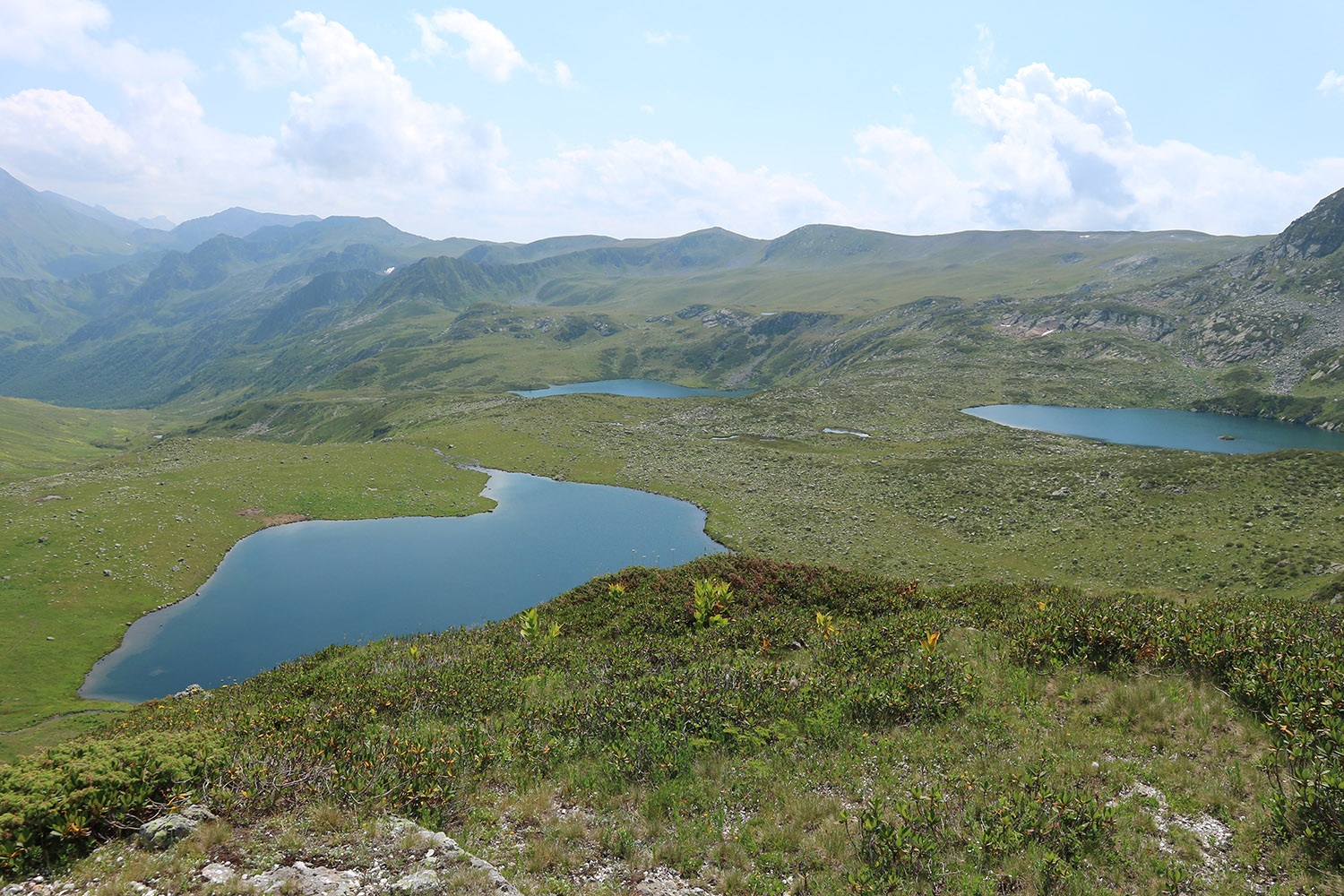 Ацгарские озёра, image of landscape/habitat.