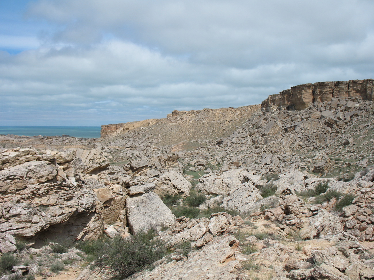 Жигалган, image of landscape/habitat.