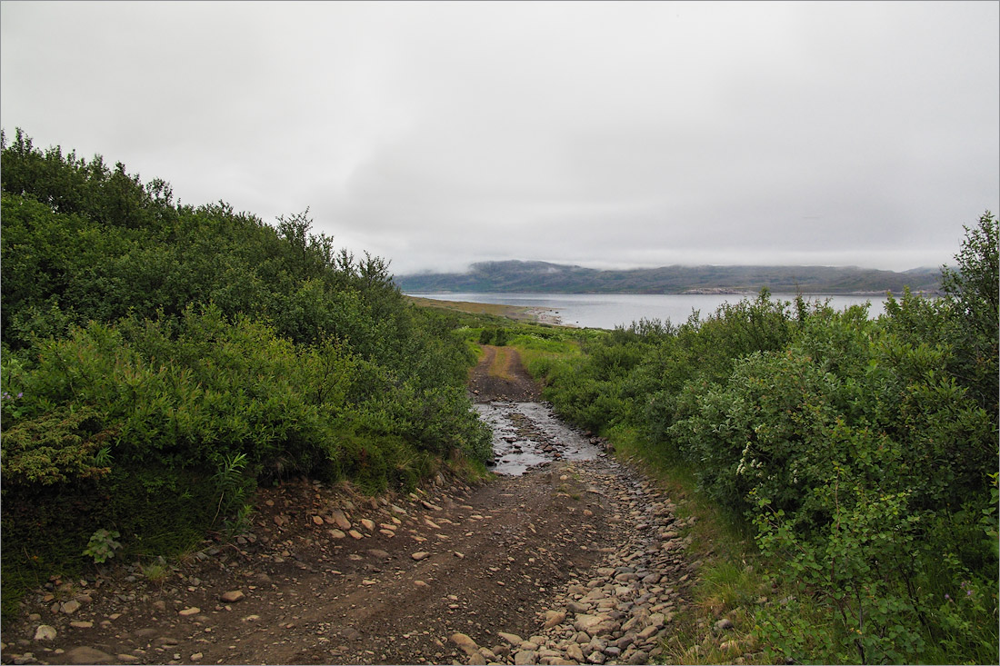 Малая Волоковая губа, image of landscape/habitat.