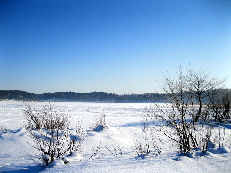 Токсово, image of landscape/habitat.