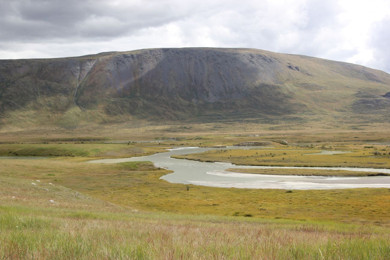 Окрестности кургана Ак-Алаха 3, image of landscape/habitat.