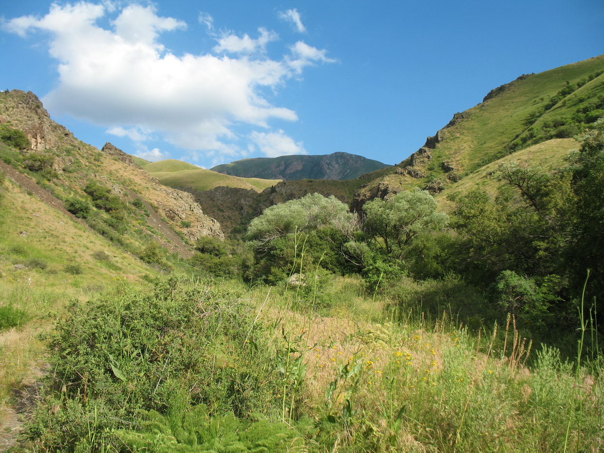 Ущелье Сугаты, image of landscape/habitat.