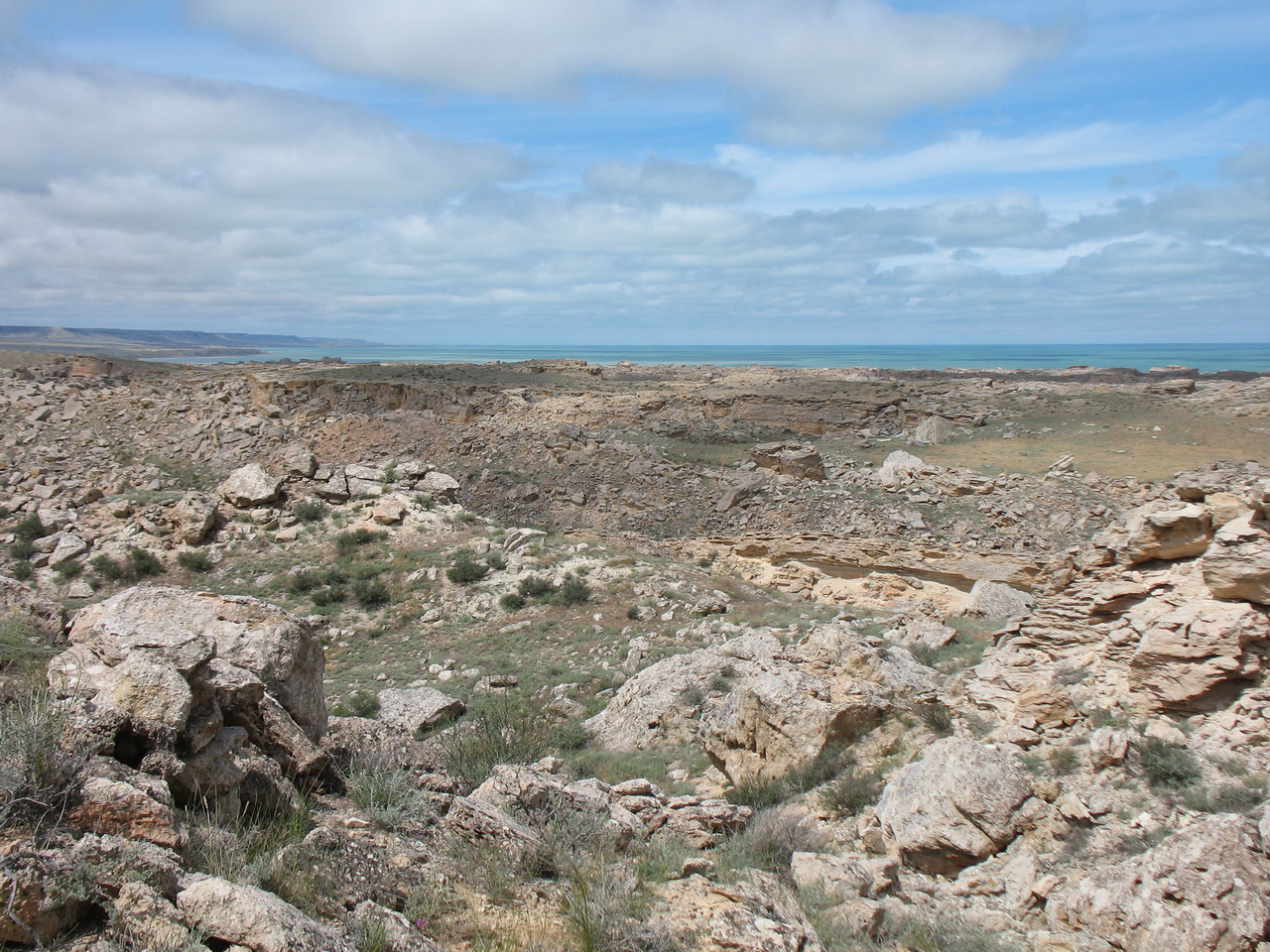 Жигалган, image of landscape/habitat.