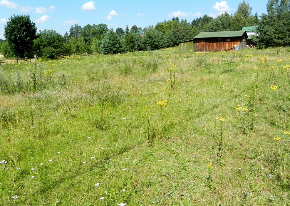 Августов и окрестности, image of landscape/habitat.