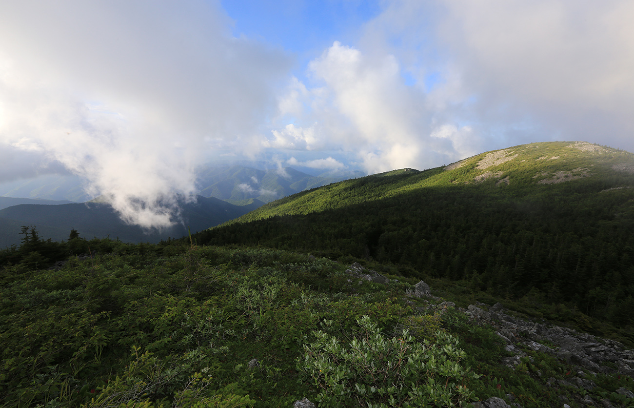 Гора Ольховая, image of landscape/habitat.