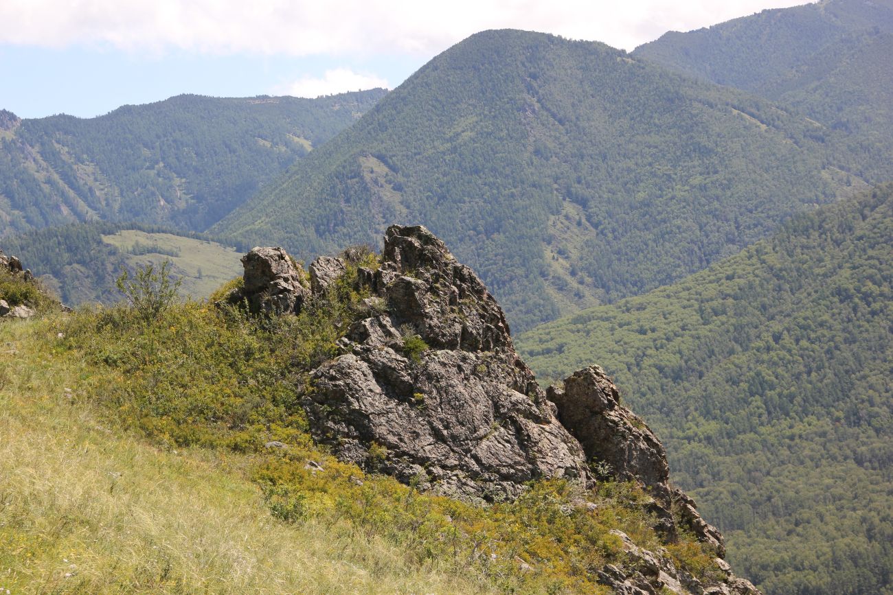 Окрестности ручья Барбыш, image of landscape/habitat.