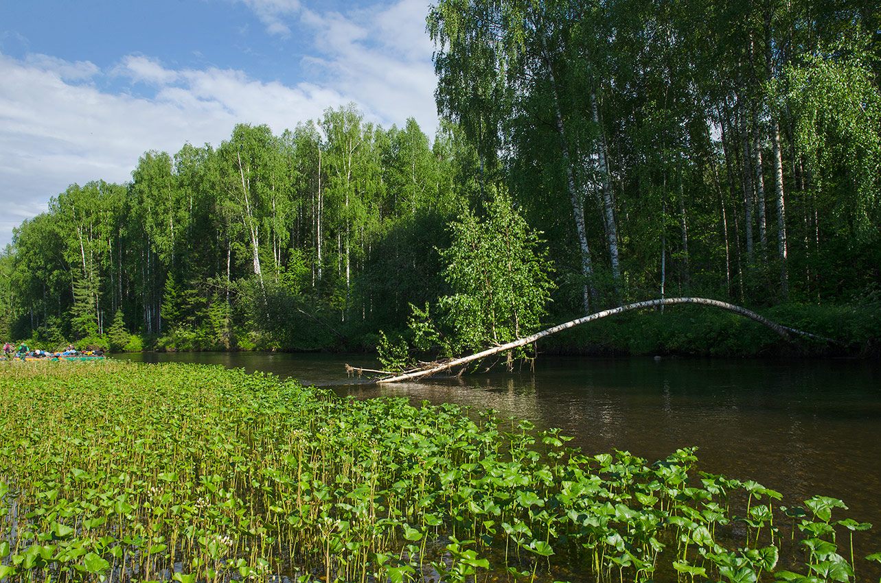 Мелехинский Камень и окрестности, image of landscape/habitat.