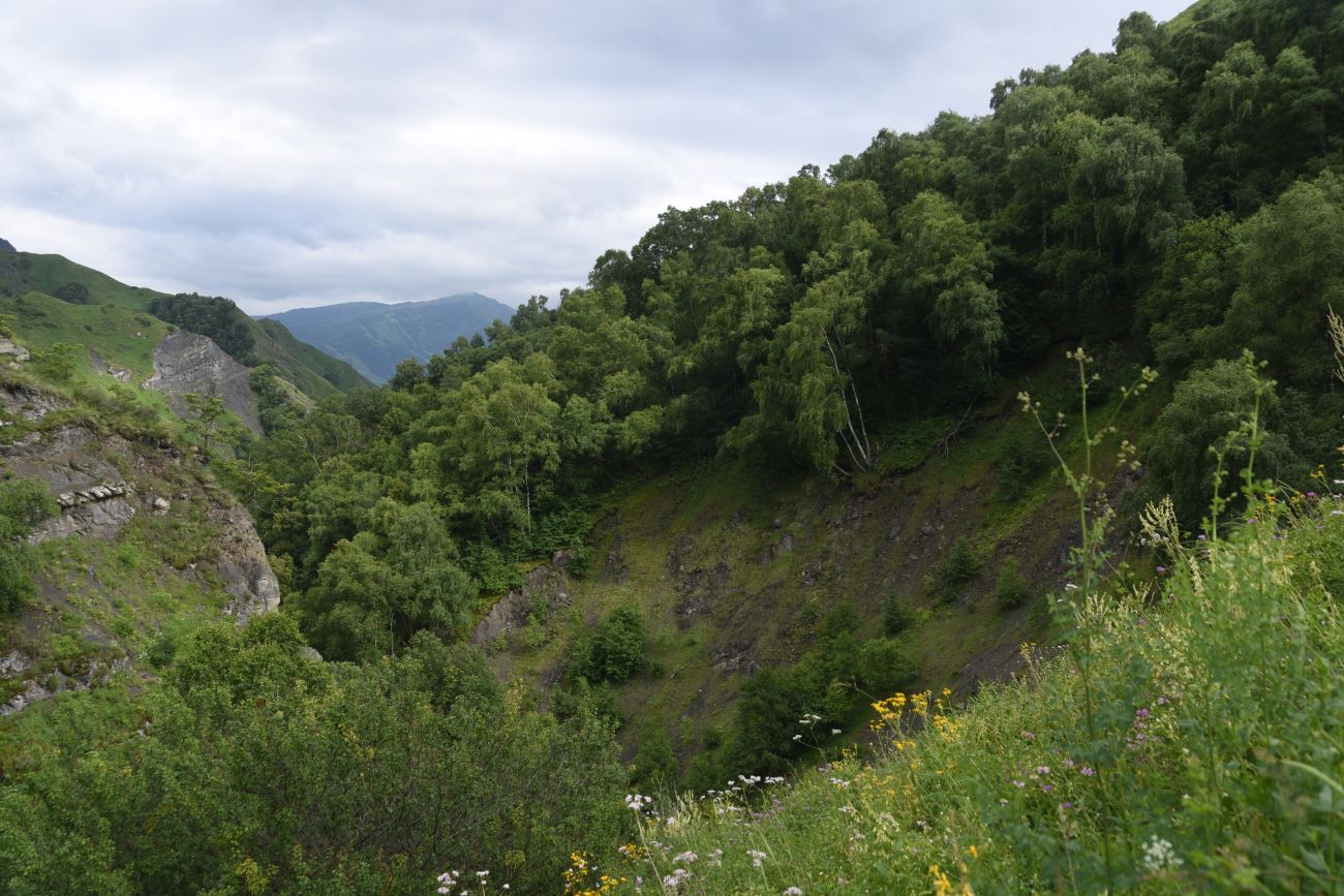 Окрестности водопада Цеси, image of landscape/habitat.