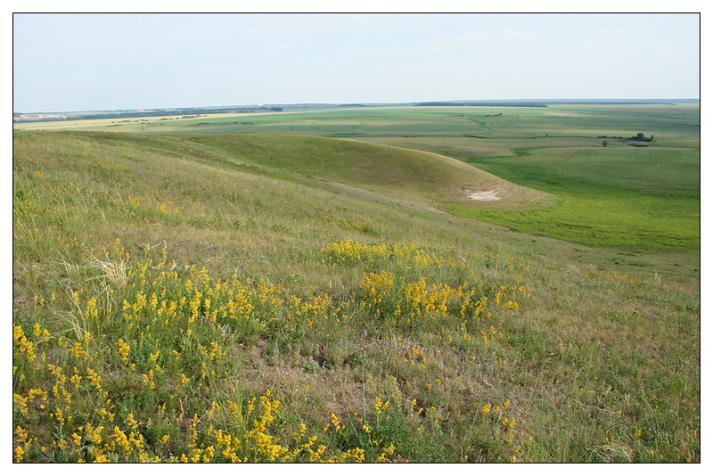 Татарские Шатрашаны, image of landscape/habitat.