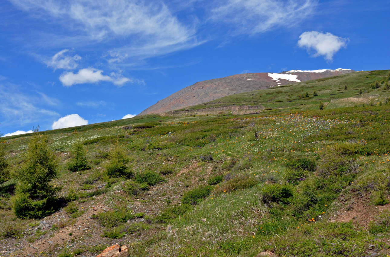 Гора Лысуха, image of landscape/habitat.