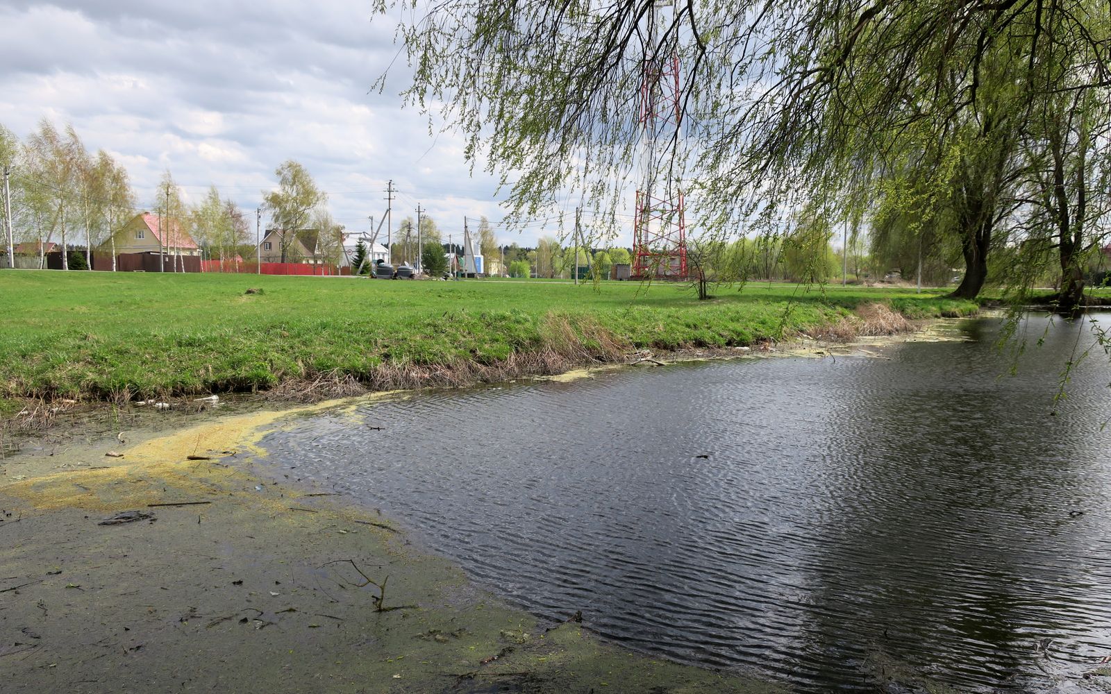 Ярцево, image of landscape/habitat.