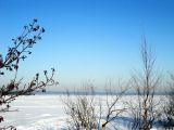 Токсово, image of landscape/habitat.