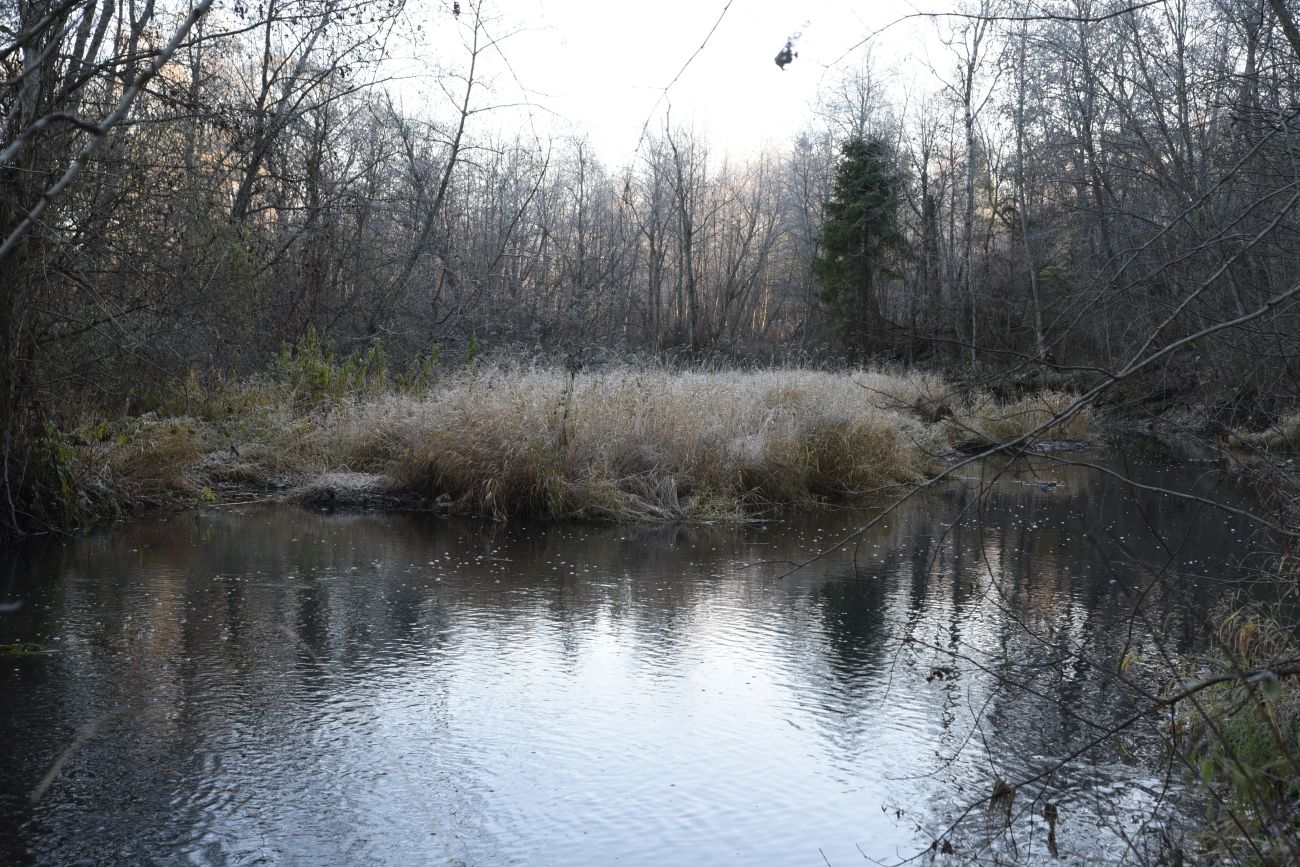 Окрестности деревни Семичёво, image of landscape/habitat.