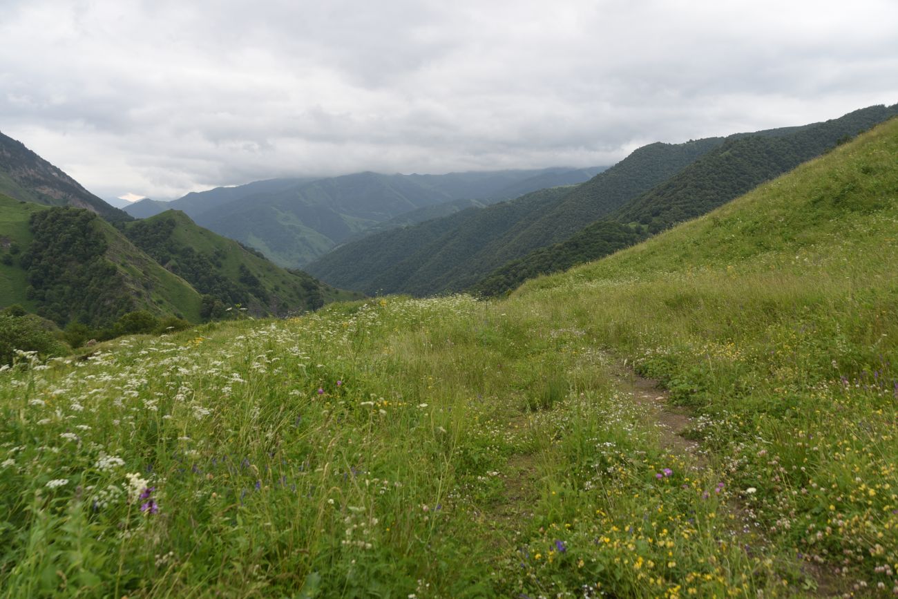 Окрестности водопада Цеси, image of landscape/habitat.