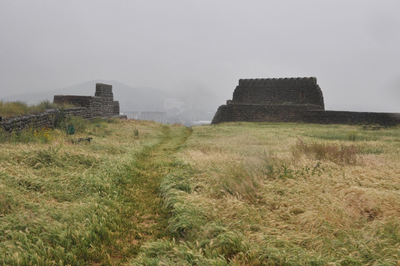 Гори, image of landscape/habitat.