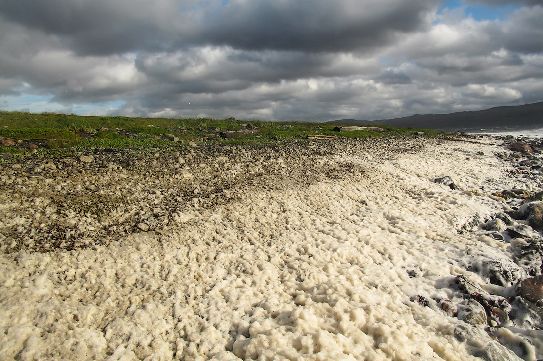 Малая Волоковая губа, image of landscape/habitat.