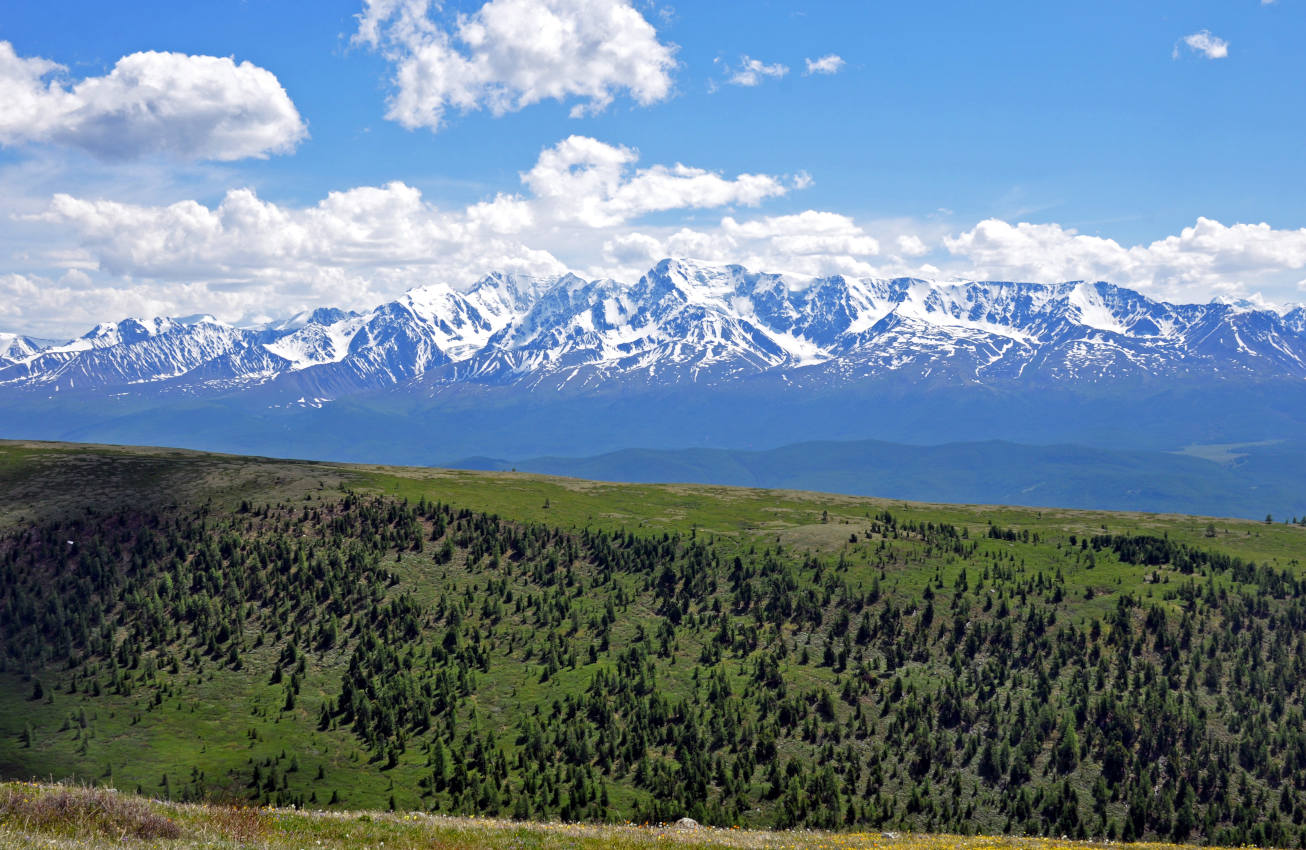 Гора Лысуха, image of landscape/habitat.