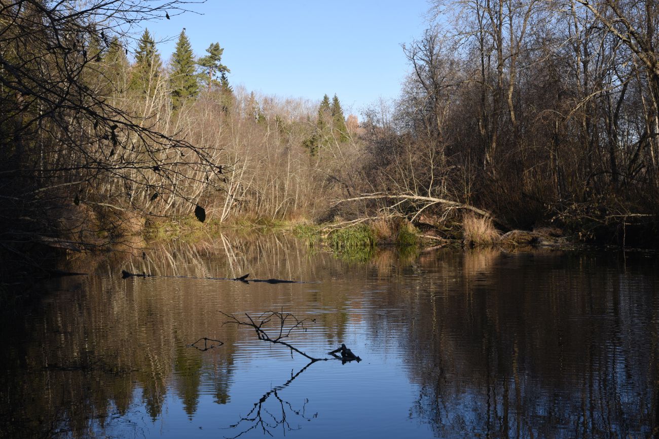 Окрестности деревни Семичёво, image of landscape/habitat.