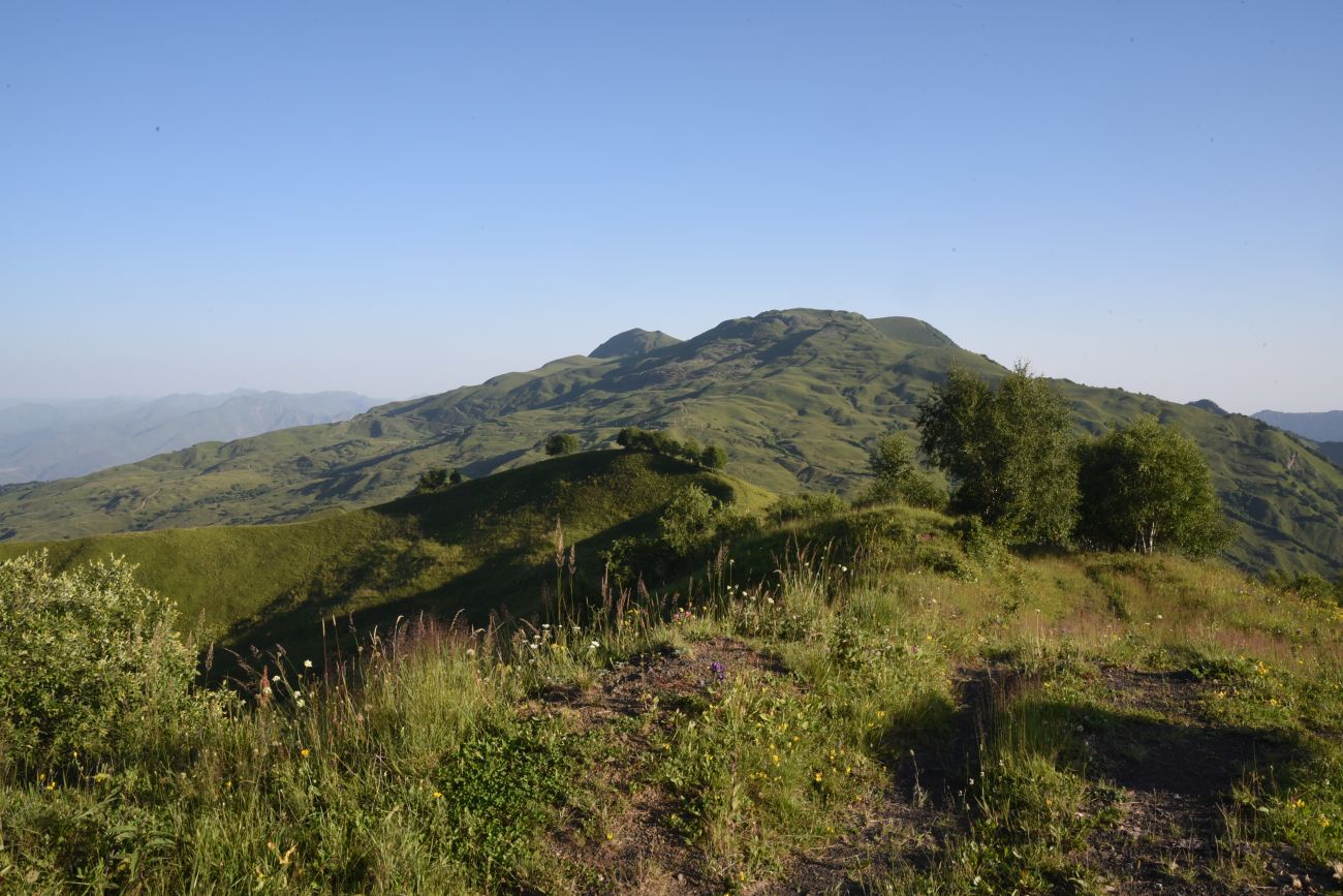 Гора Кокорт, image of landscape/habitat.