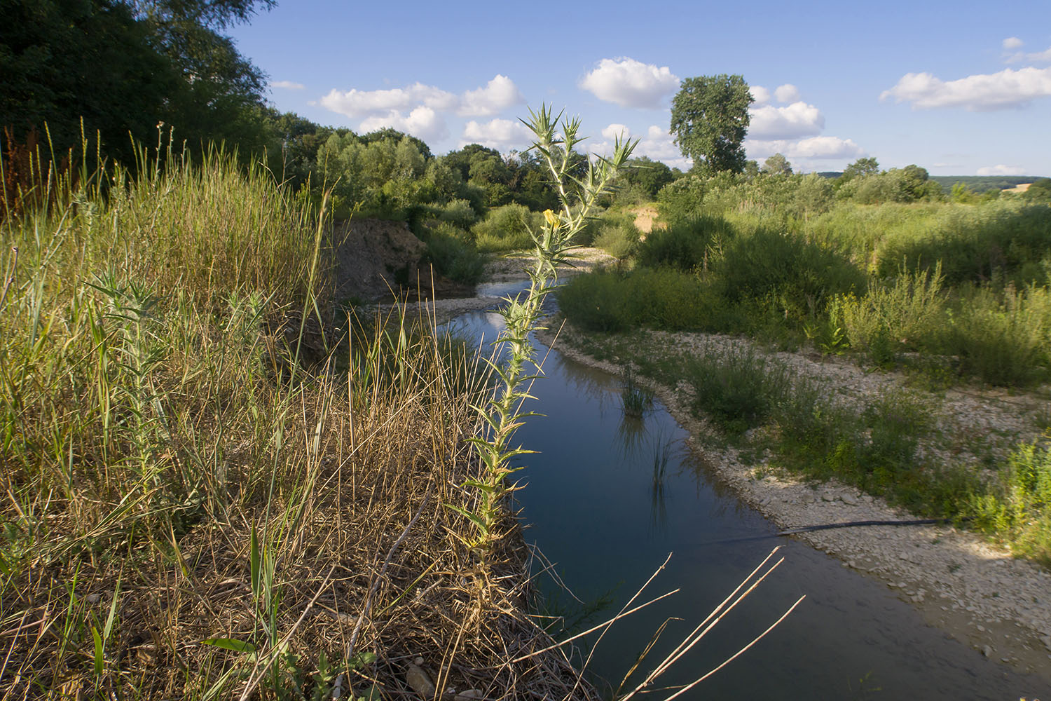 Река Неберджай, image of landscape/habitat.