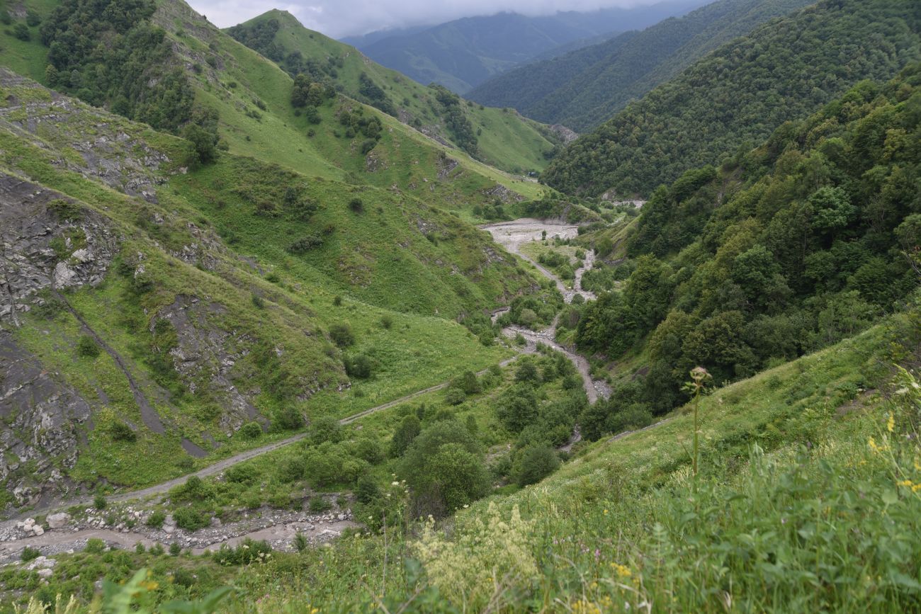 Дом Мансура, image of landscape/habitat.