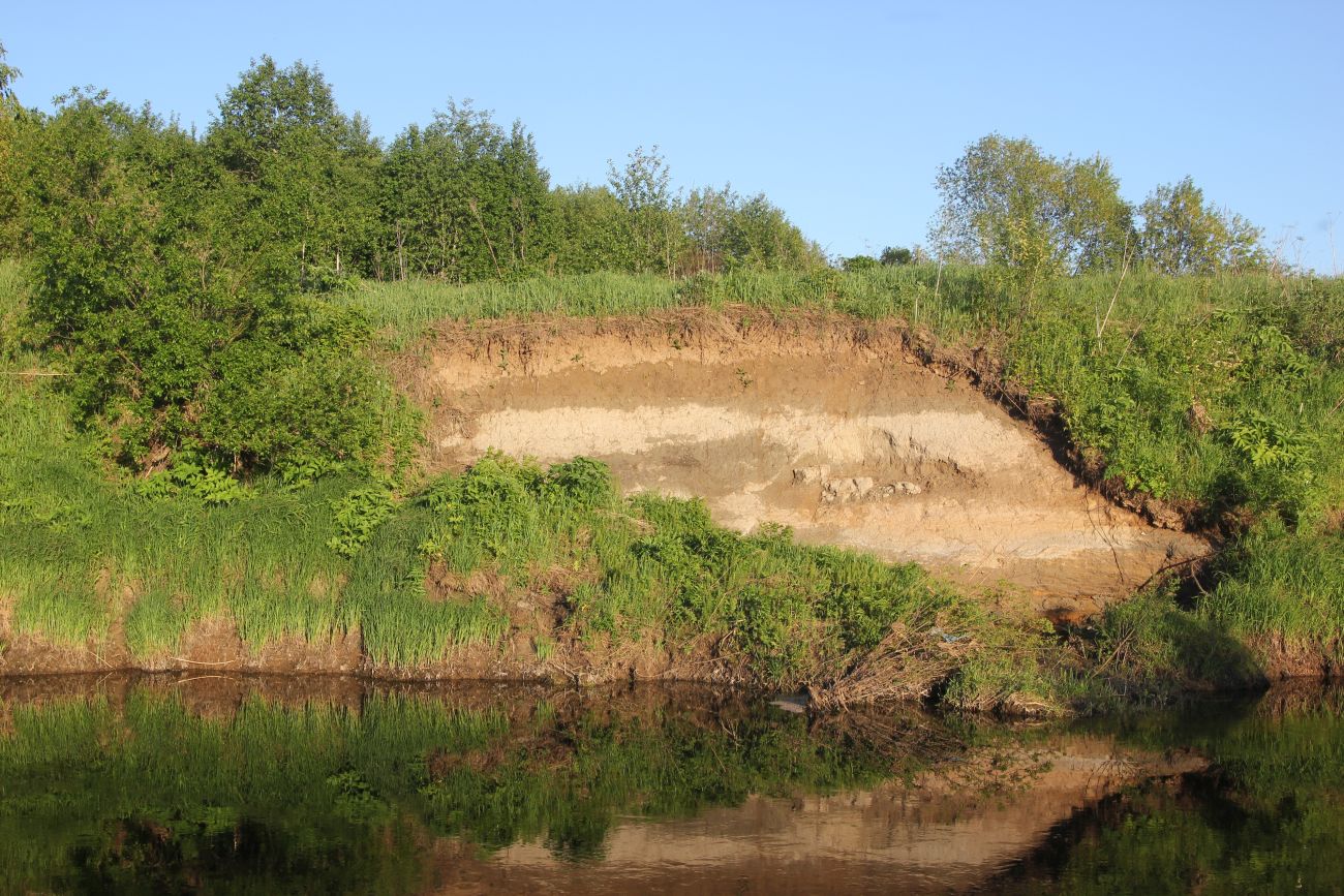 Окрестности Солигалича, image of landscape/habitat.