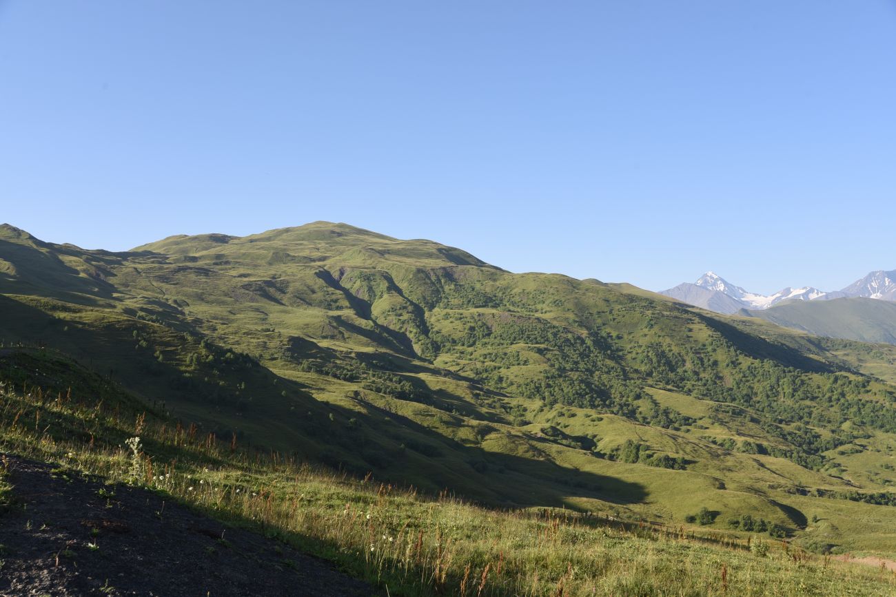 Окрестности горы Чархунышкорт, image of landscape/habitat.