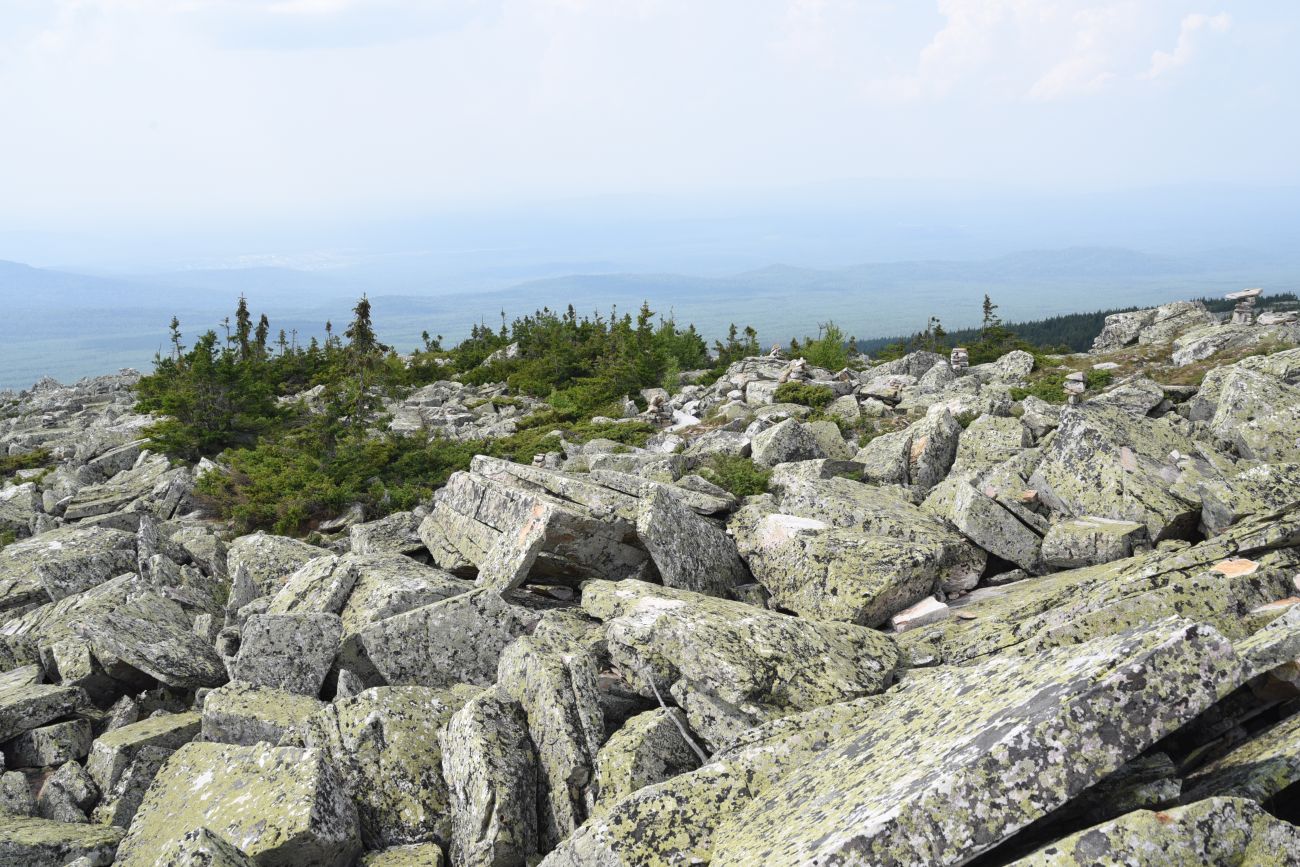 Круглица, image of landscape/habitat.