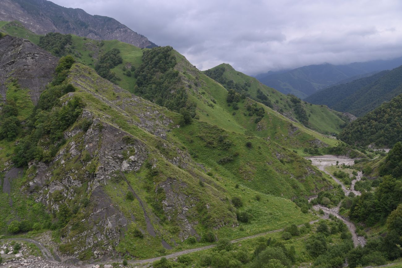 Дом Мансура, image of landscape/habitat.