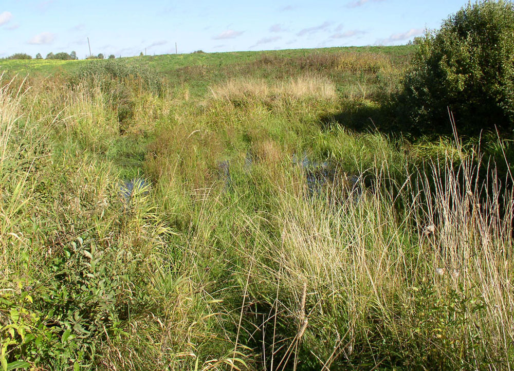 Латка, image of landscape/habitat.