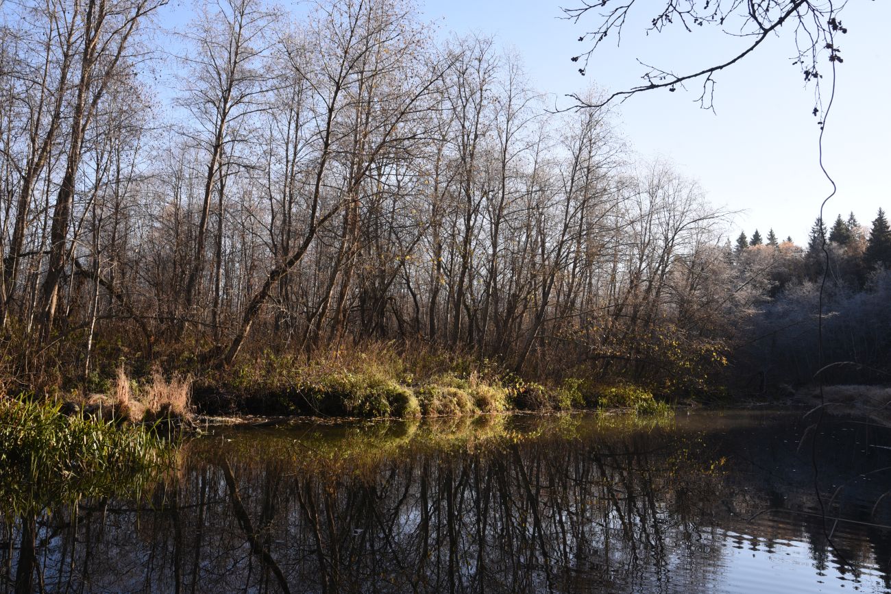 Окрестности деревни Семичёво, image of landscape/habitat.