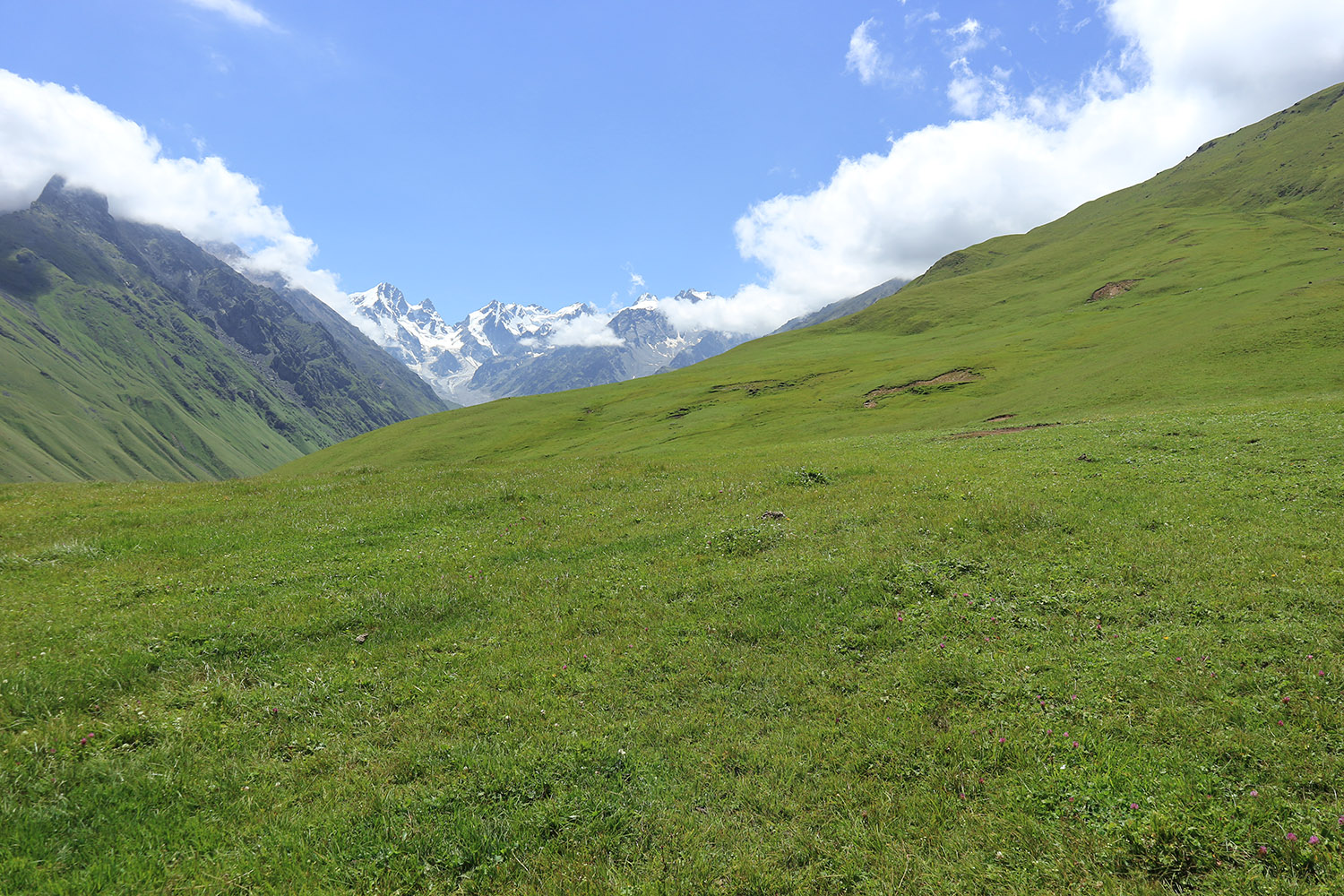 Эркедыген, image of landscape/habitat.