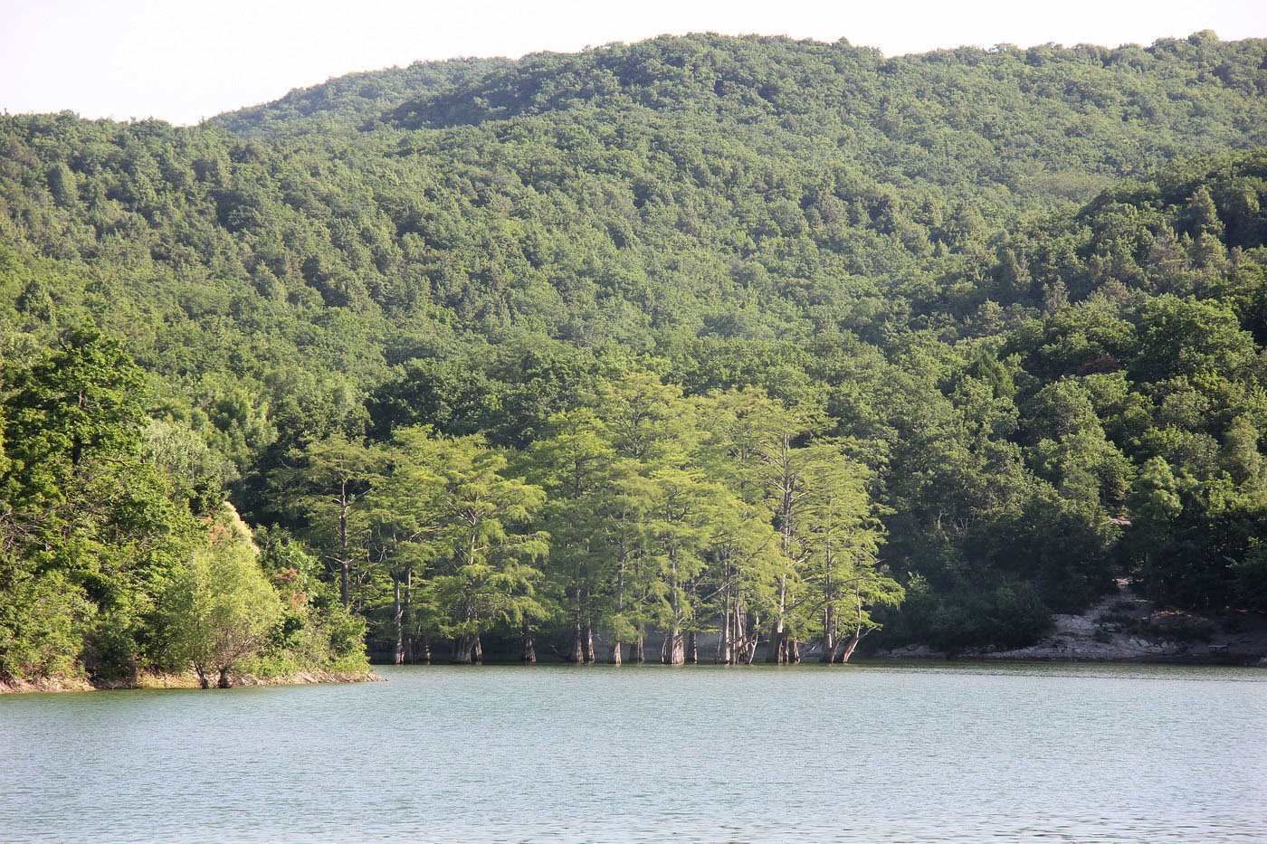 Озеро Сукко и его окрестности, image of landscape/habitat.