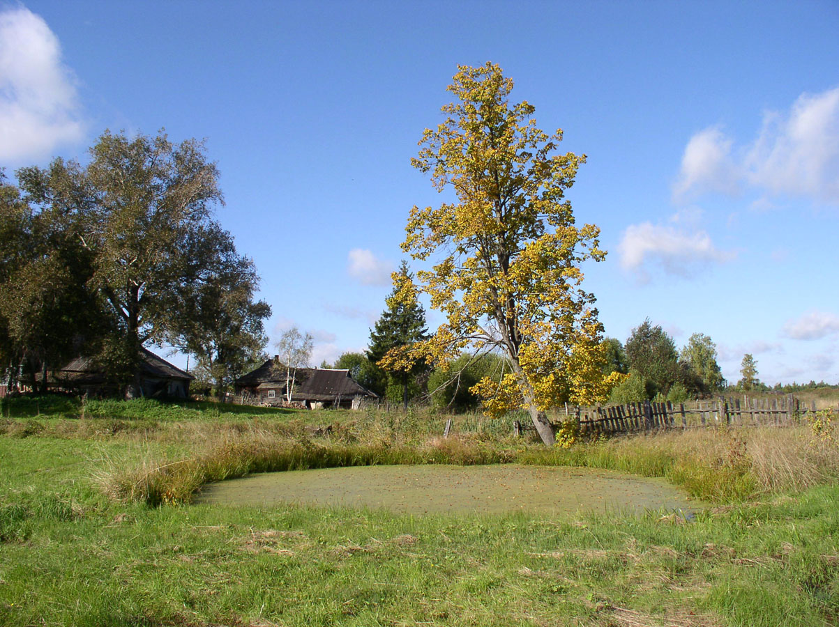 Латка, image of landscape/habitat.