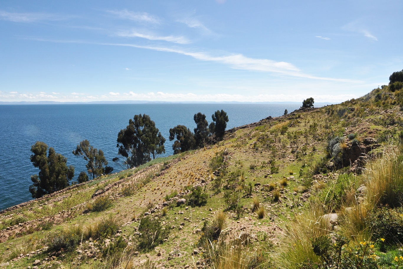 Остров Такиле, image of landscape/habitat.