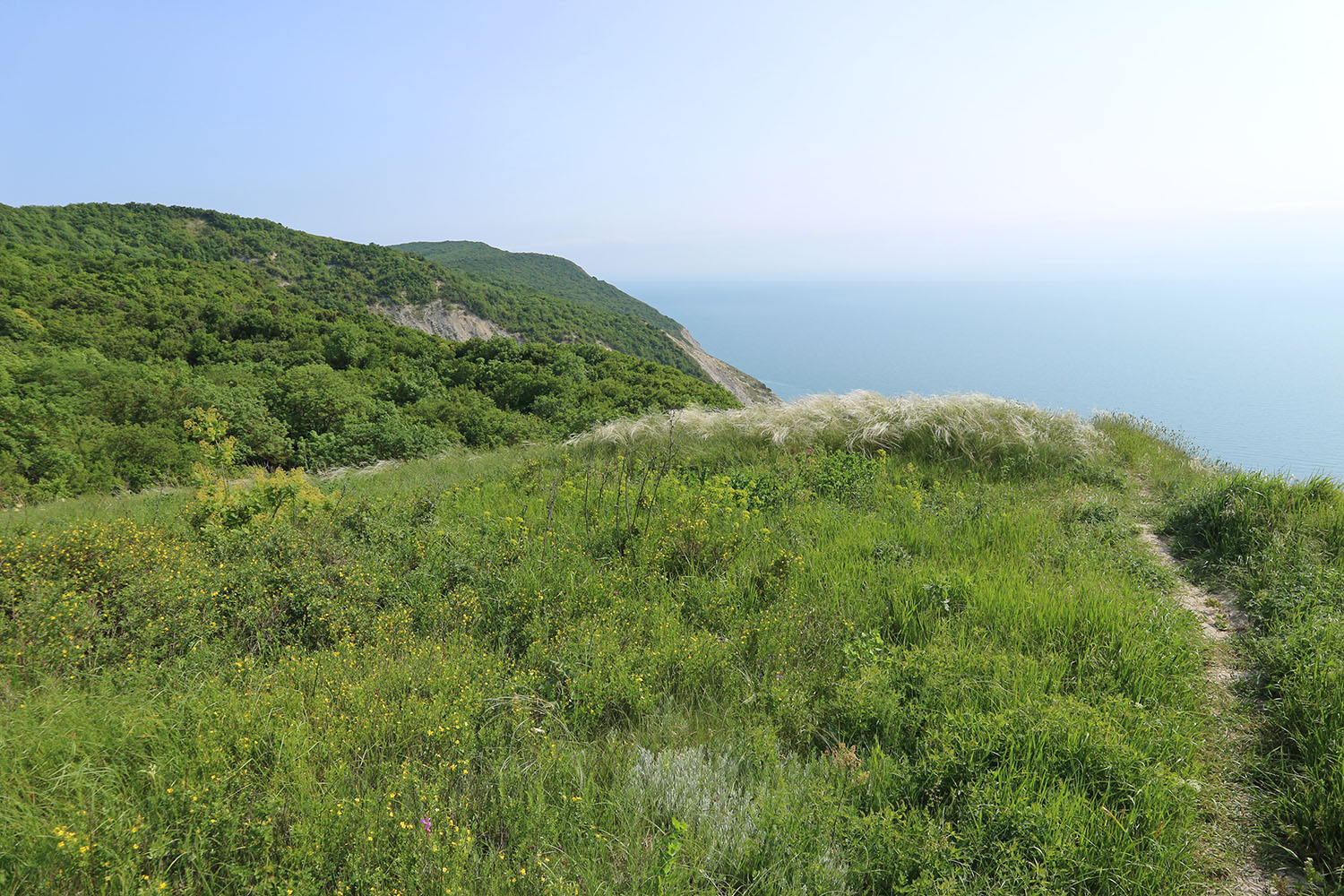 Супсех, image of landscape/habitat.