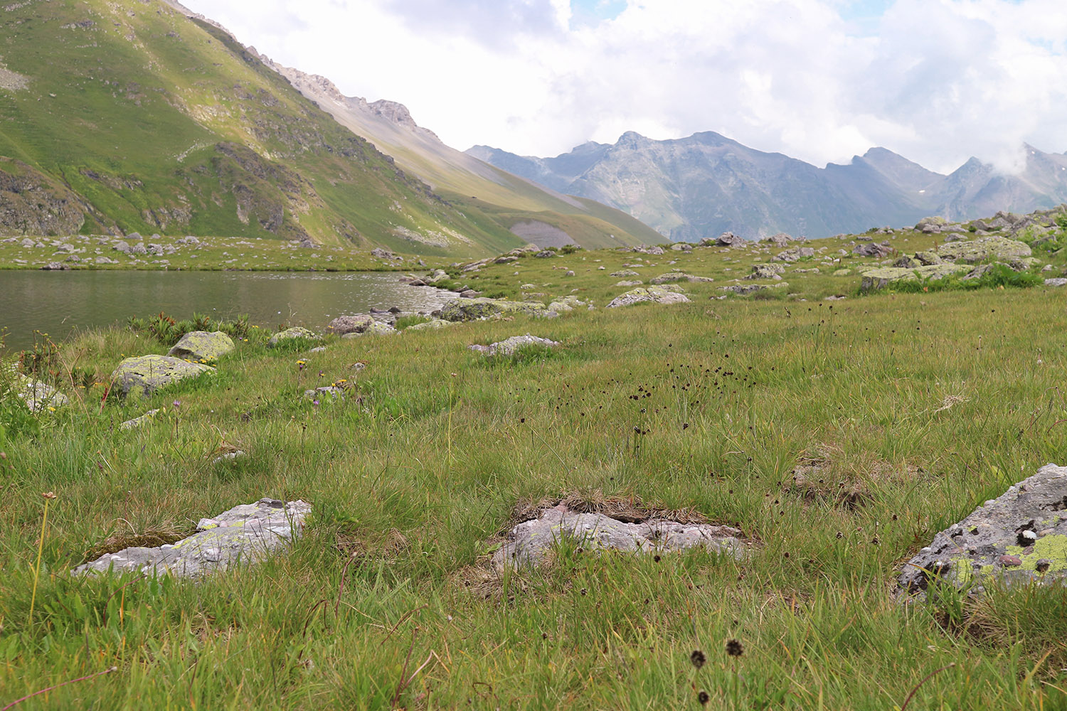 Ацгарские озёра, image of landscape/habitat.