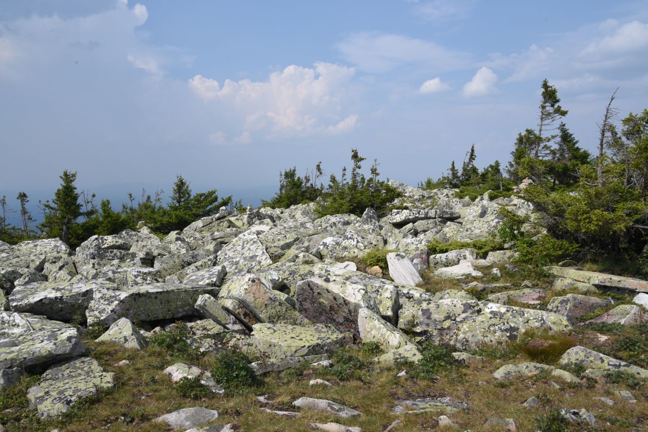 Круглица, image of landscape/habitat.