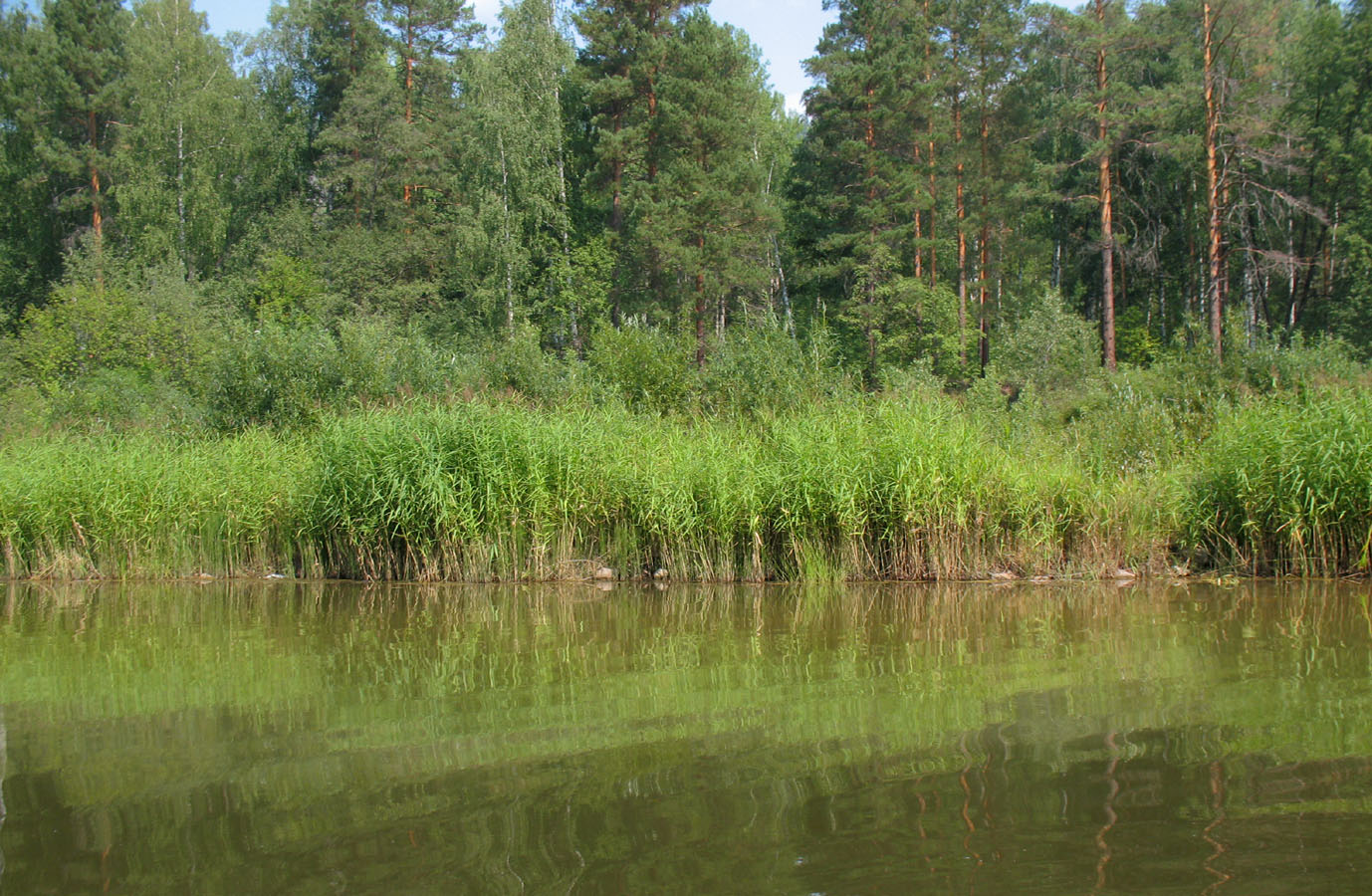 Река Белая, image of landscape/habitat.