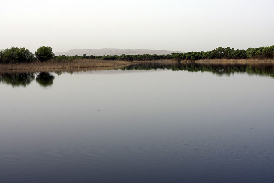 Заповедник "Тигровая балка", image of landscape/habitat.