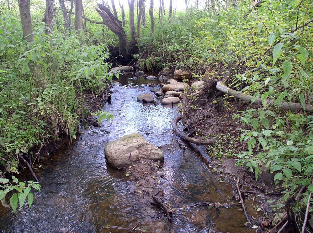 Латка, image of landscape/habitat.