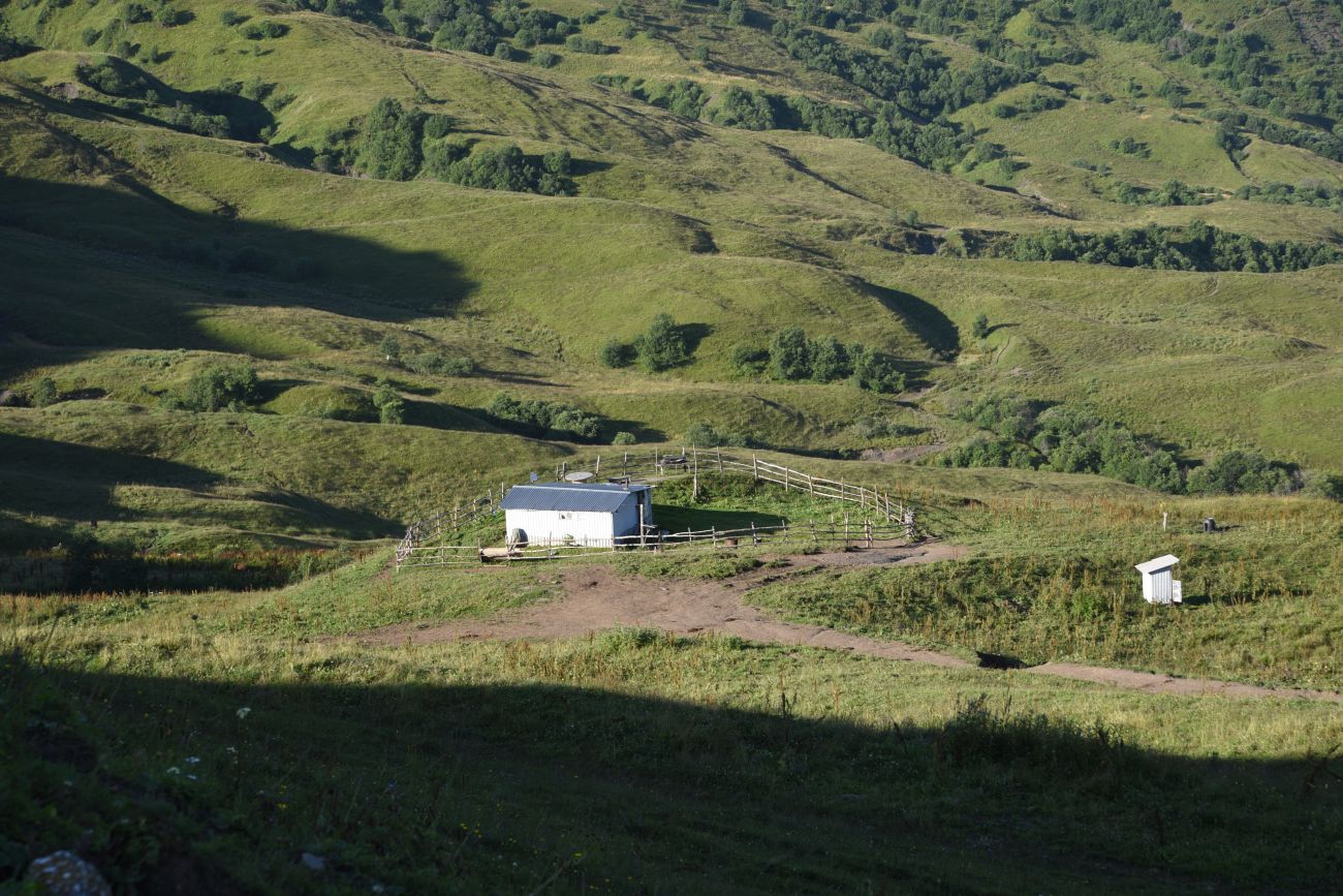 Окрестности горы Чархунышкорт, image of landscape/habitat.