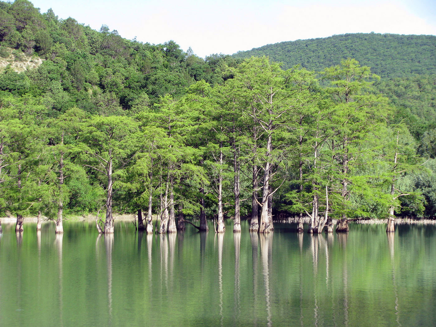 Озеро Сукко и его окрестности, image of landscape/habitat.