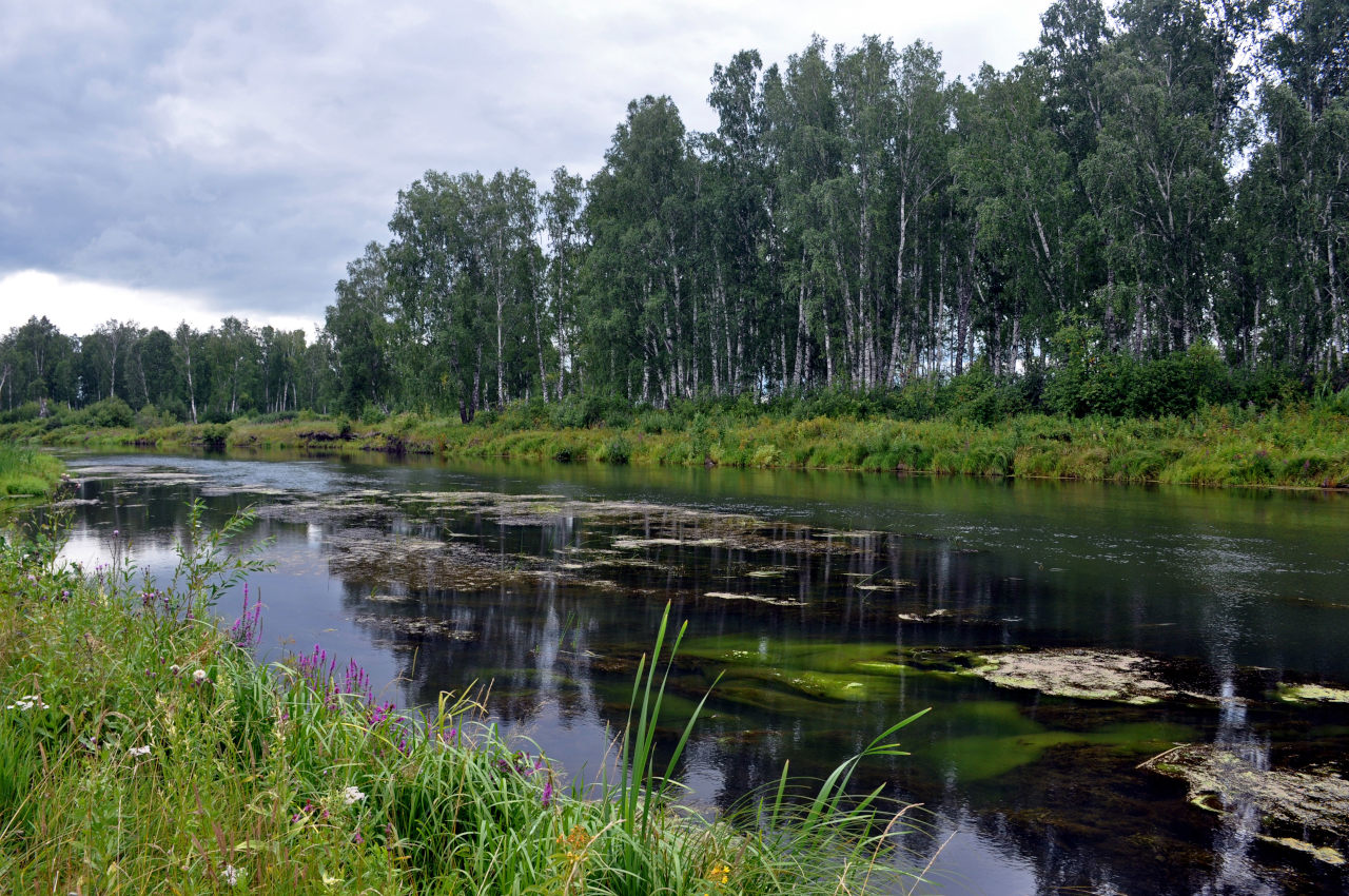 Окрестности села Кайгородово, изображение ландшафта.