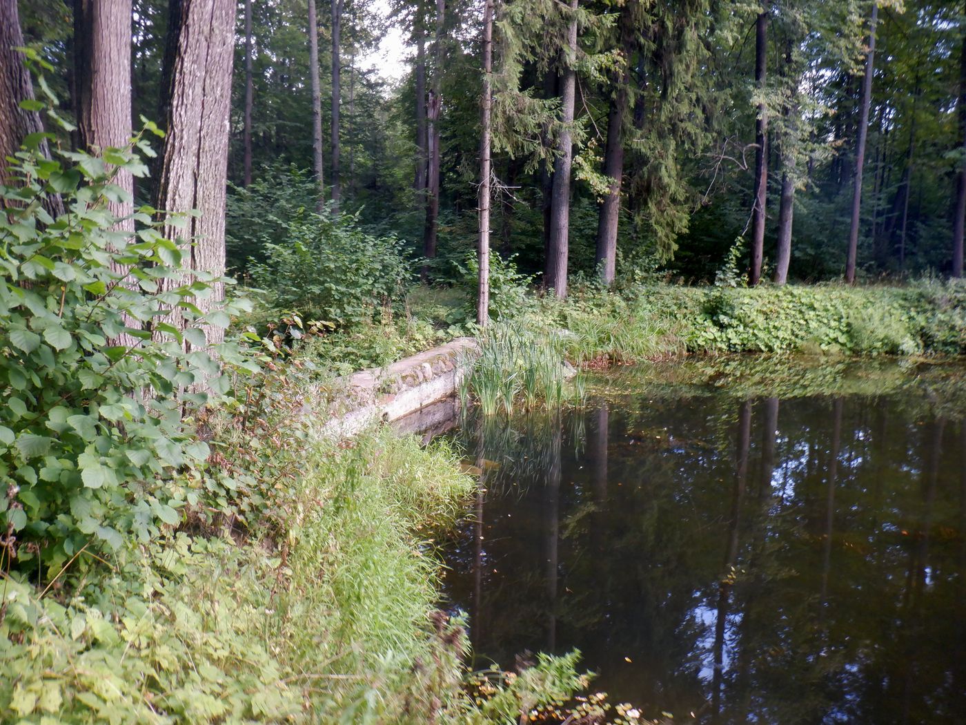 Знаменское-Раёк, image of landscape/habitat.