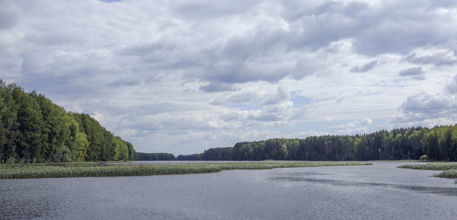 Кунчурихинский бор, image of landscape/habitat.