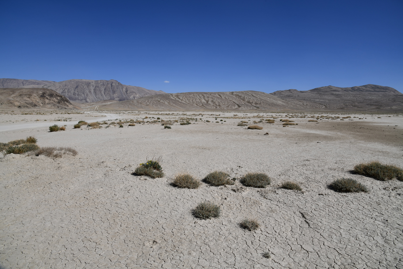 Булункуль, image of landscape/habitat.