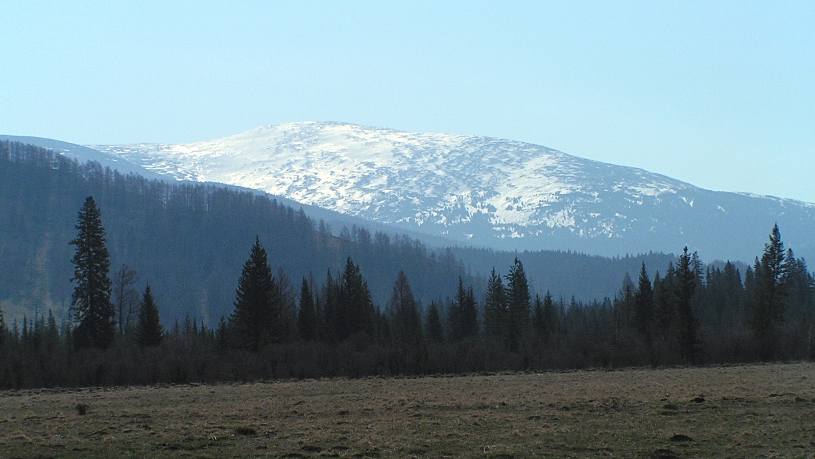 Окрестности села Топучая, image of landscape/habitat.